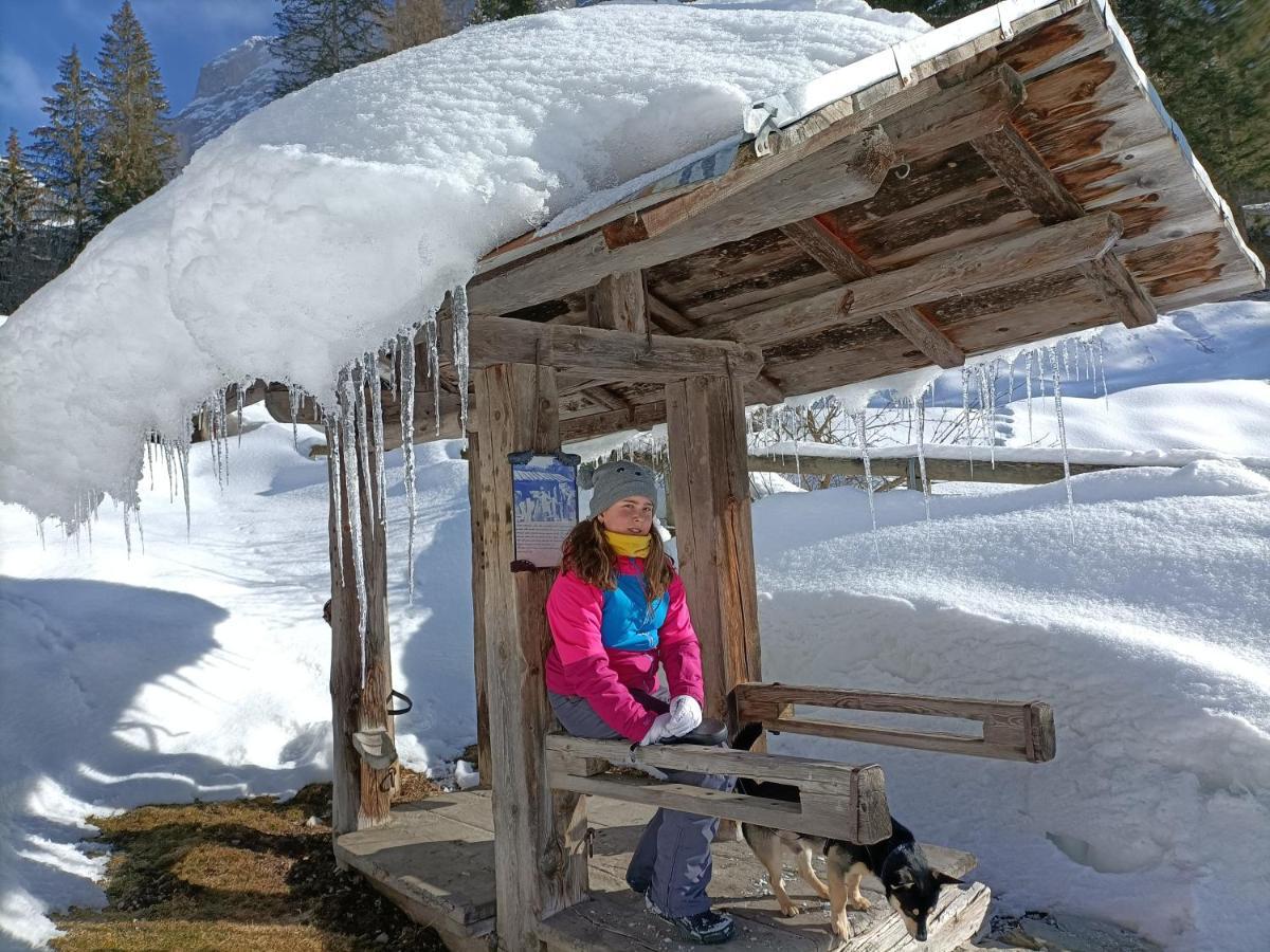 Hotel B&B Lorenzini Ski Selva di Cadore Exterior photo
